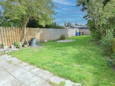 Picture 21